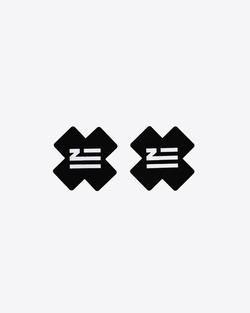 Zhu Logo - ZHU PASTIES