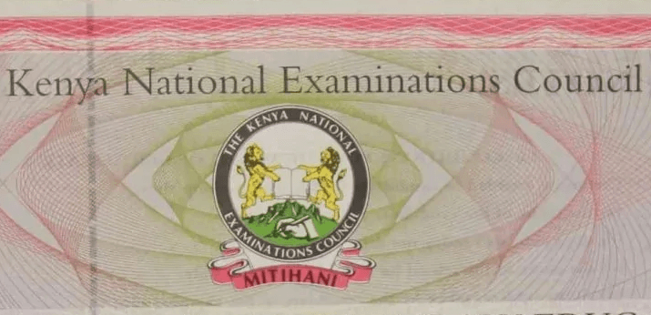 Knec Logo - Bitter suffering for lost, damaged certificates : The Standard