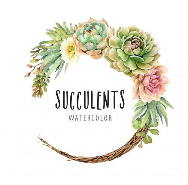 Succulent Logo - Succulent Vectors, Photo and PSD files