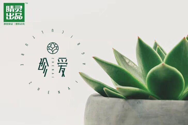 Succulent Logo - Succulent plants logo