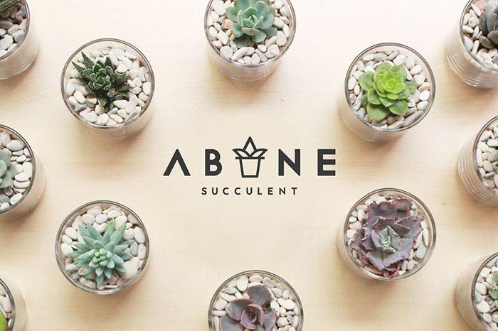 Succulent Logo - ABANE Succulent Visual Branding & Garden
