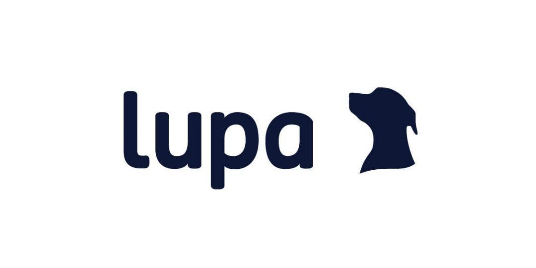 Loungewear Logo - Lupa Loungewear - Robert Hacala Brand Design