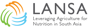 Lansa Logo - LANSA. Leveraging Agriculture for Nutrition in South Asia