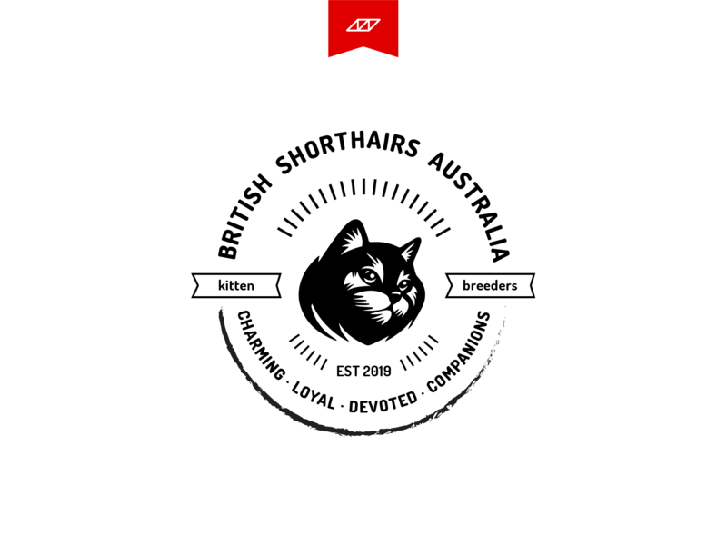 Kitten Logo - Logo for Kitten Breeders by Mohit Verma | Dribbble | Dribbble