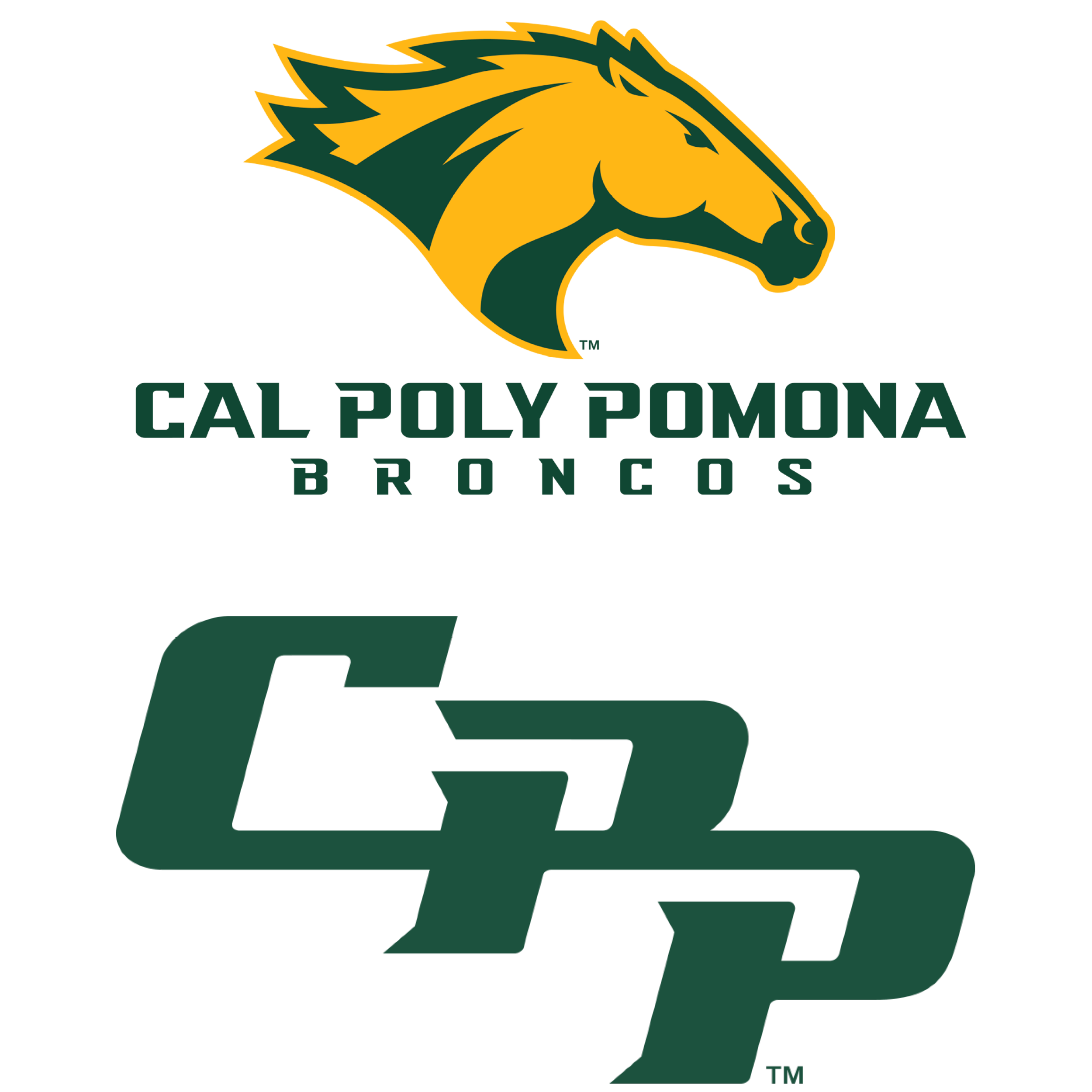 Cal Logo - University Brand: A Bold New Look
