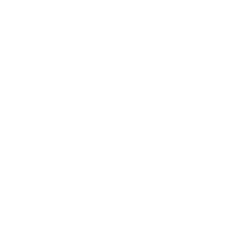 Blaser Logo - blaser