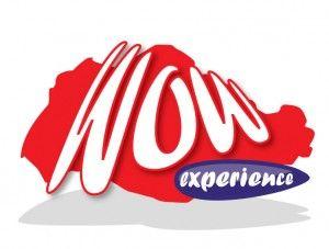 WoW Logo - WOW Logo