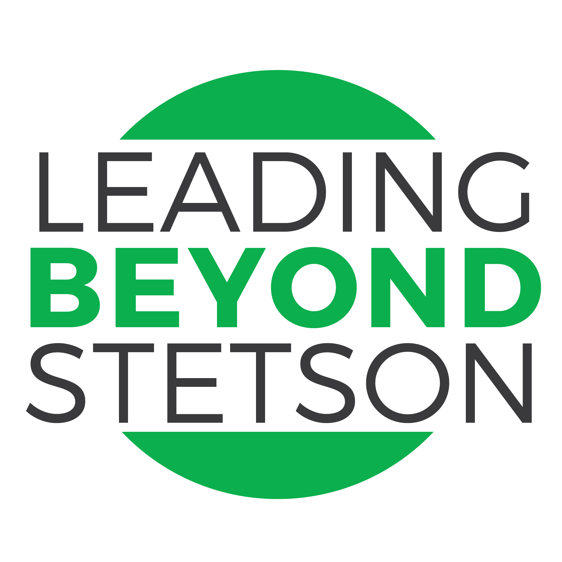 Stetson Logo - Leadership Development Development and Campus Vibrancy