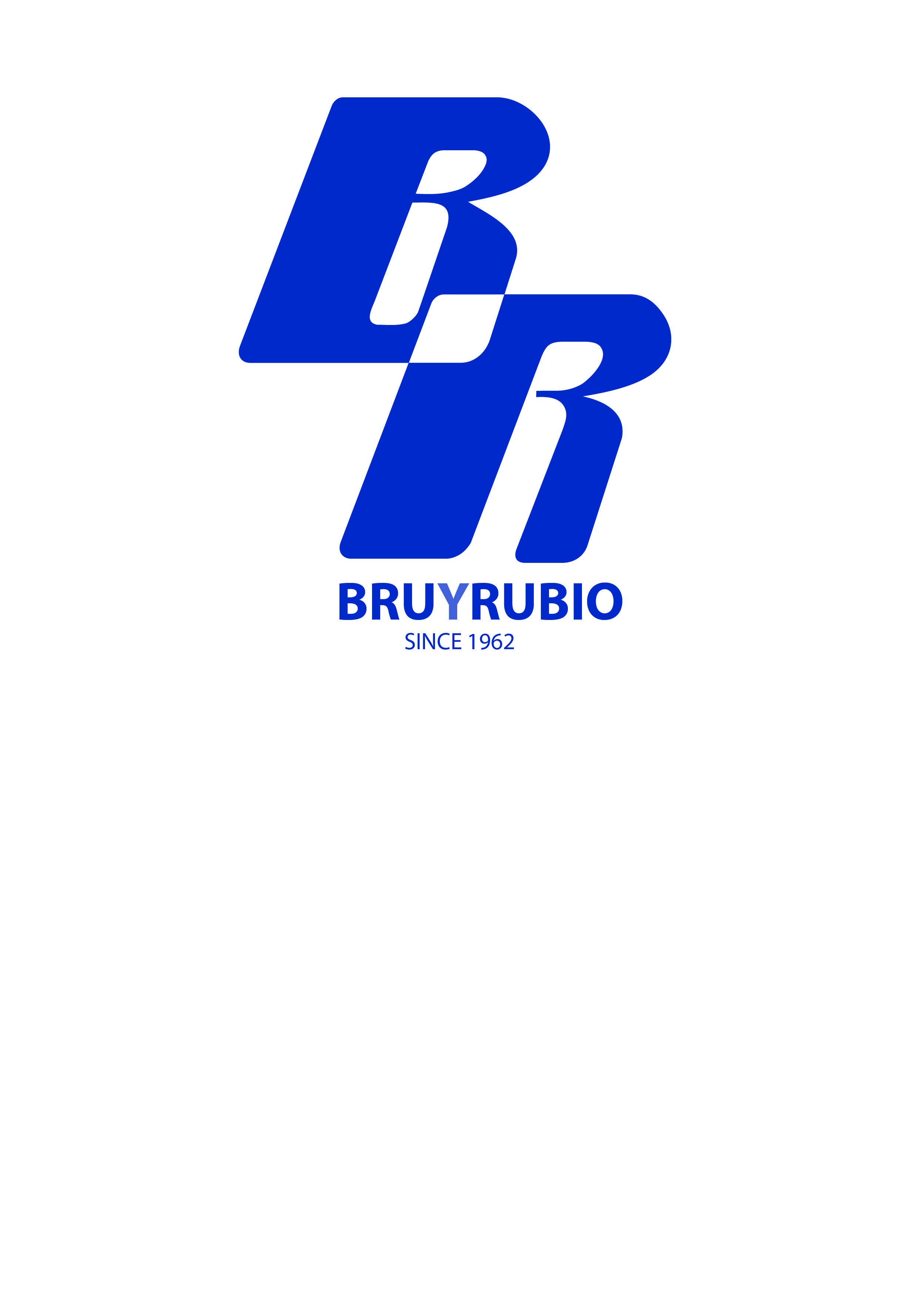 BYR Logo - logo ByR Fip. Avia Cluster de Automoción de la Comunitat