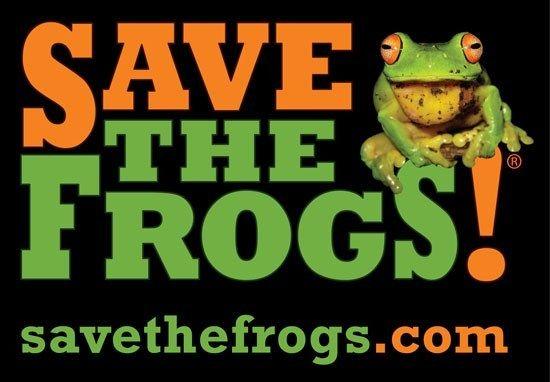Frogs Logo - SAVE THE FROGS!
