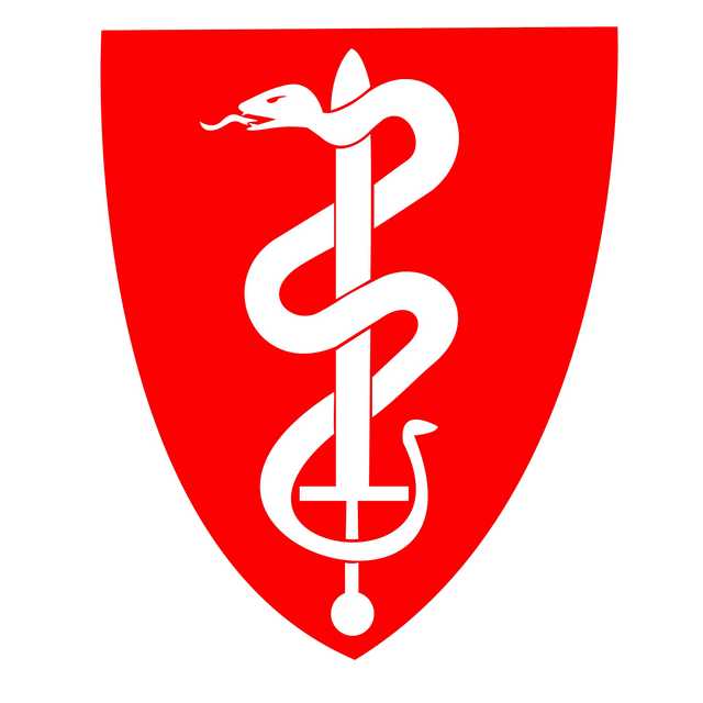 Forsvarets Logo - FORSVARETS SANITET FSAN LOGO EMBLEM MERKE SLANGE SKJOLD SVERD RØDT
