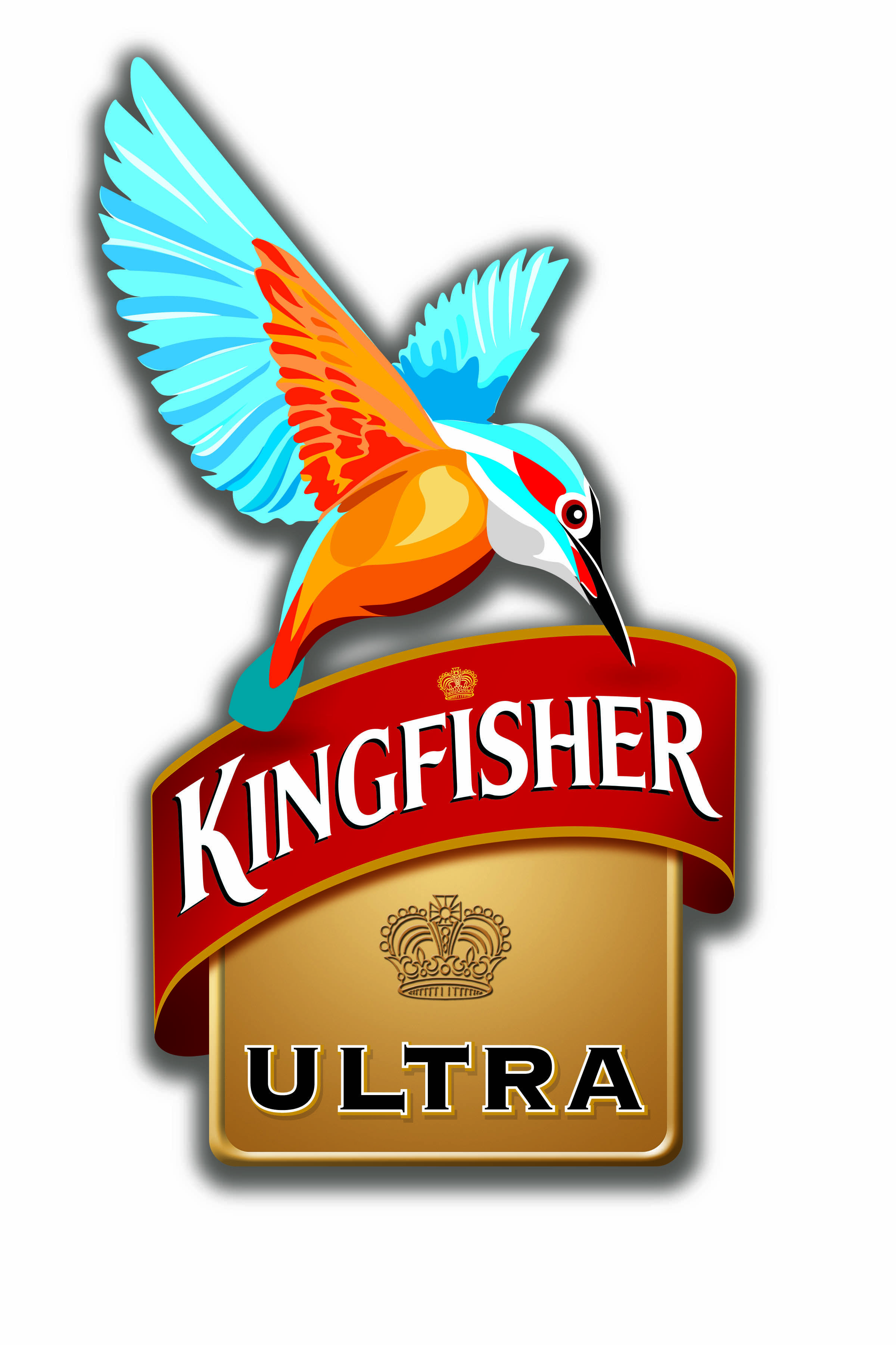 Kingfisher Strong Beer Review - Unveiling the Bold Indian Brews — OnlyCans