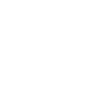 Gyr Logo - Goodyear Airport