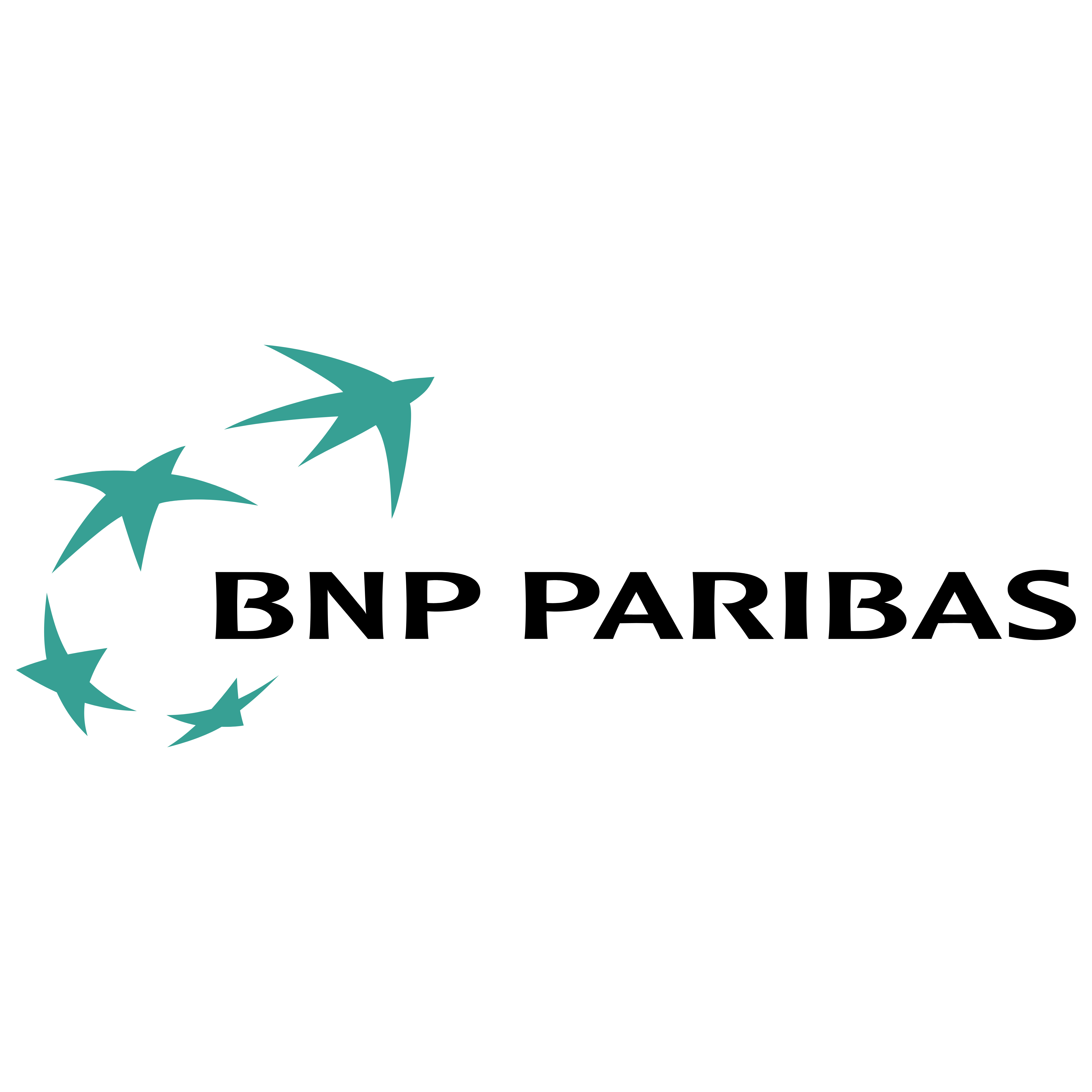 BPN Logo - BPN Paribas Finance – Logos Download
