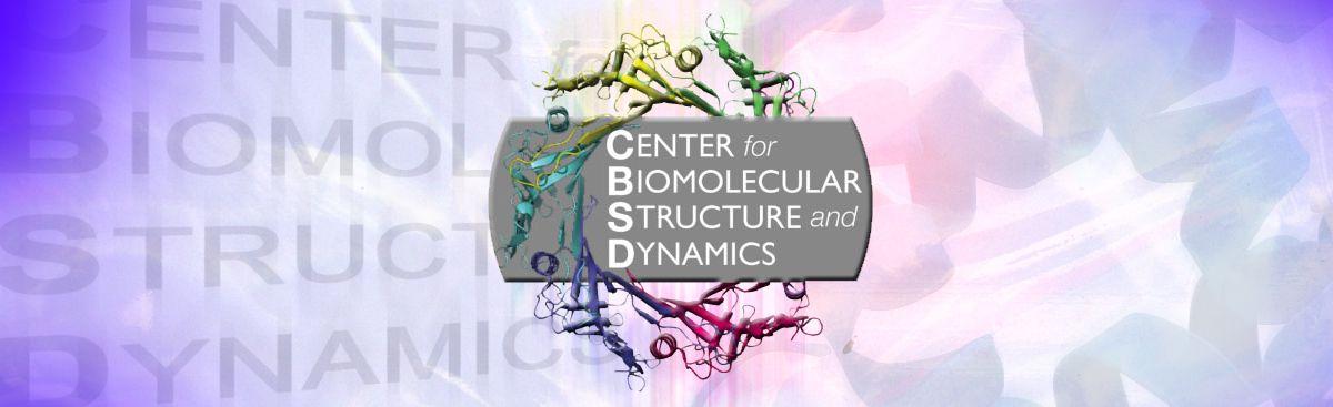 Cbsd Logo - Welcome to the Center for Biomolecular Structure and Dynamics
