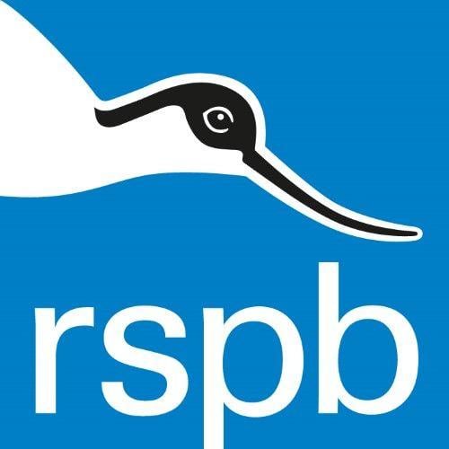 RSPB Logo - Copyright information | About our site - The RSPB