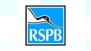 RSPB Logo - The man behind a famous logo celebrates 20 years of Norfolk work