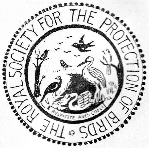 RSPB Logo - RSPB
