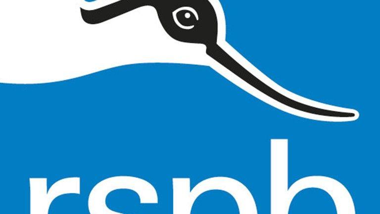 RSPB Logo - The RSPB: News: Wild birds continue to be persecuted throughout Wales