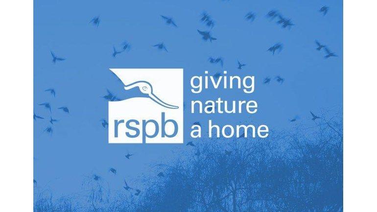 RSPB Logo - Daniel Lewis is fundraising for RSPB