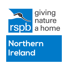 RSPB Logo - RSPB Northern Ireland | NICVA