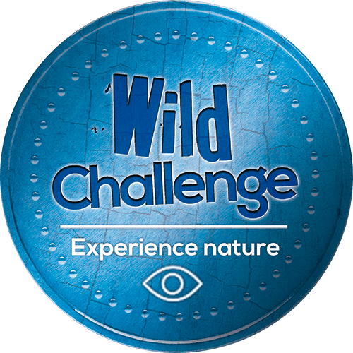 RSPB Logo - Wild Challenge Family Activities - The RSPB