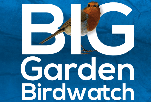 RSPB Logo - RSPB Big Garden Birdwatch | Burlington Junior School