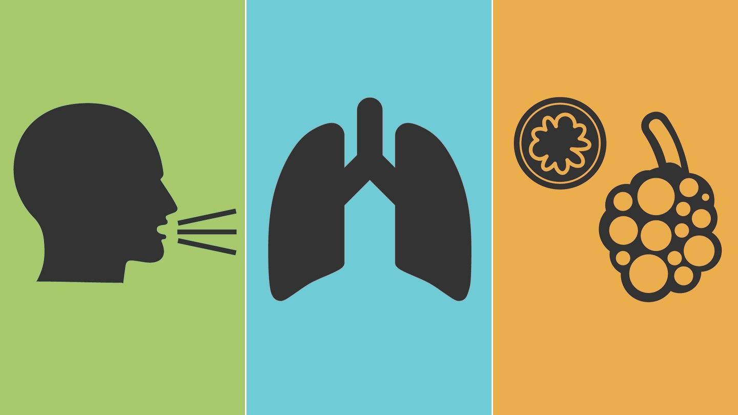 COPD Logo - What Do You Really Know About COPD? | Everyday Health