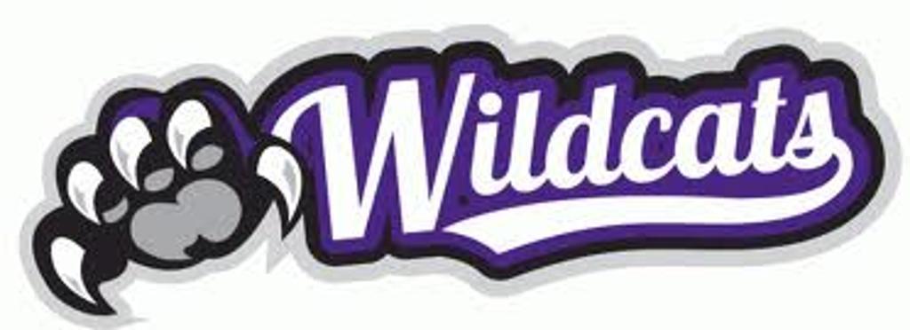 Wildcats Logo - SC Nickols Wildcats, Dillon Wildcats Logo