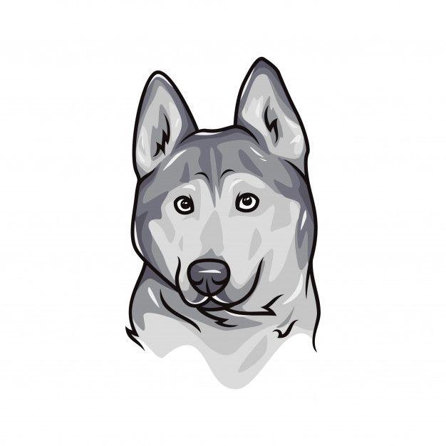 Canidae Logo - Mammal,Vertebrate,Dog,Siberian husky,Canidae,Carnivore,Alaskan ...