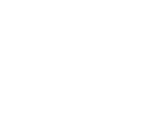 Established Logo - Lewis County Washington