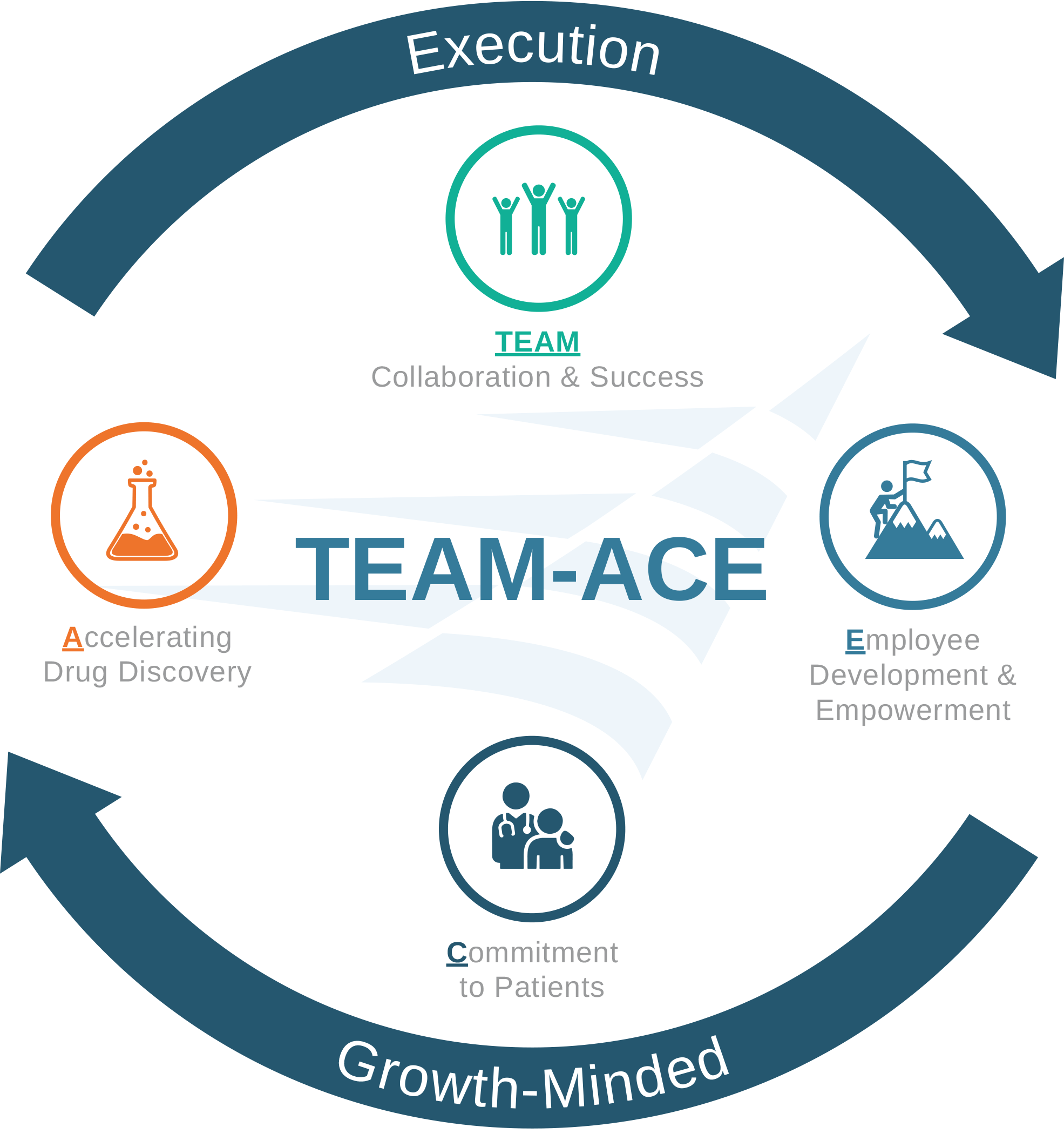 Acceleron Logo - Acceleron_Team-ACE-(3) - Acceleron Pharma, Inc.