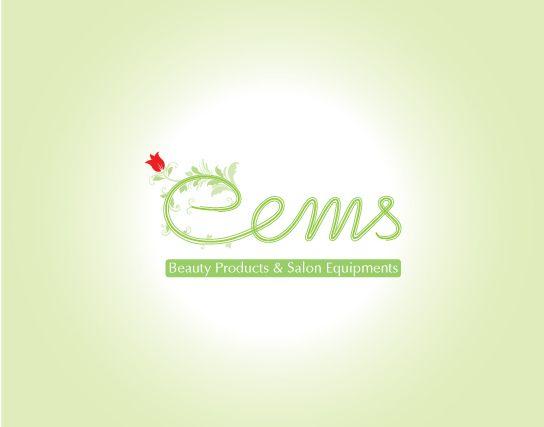 eEMS Logo - eems Corporate Inedtity