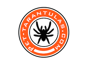 Tarantula Logo - Pet Tarantulas