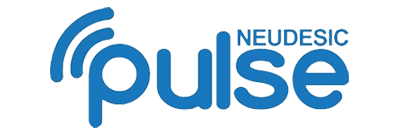 Neudesic Logo - Business Technology Solutions - Neudesic