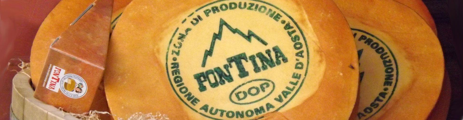 Fontina Logo - Fontina Cheese