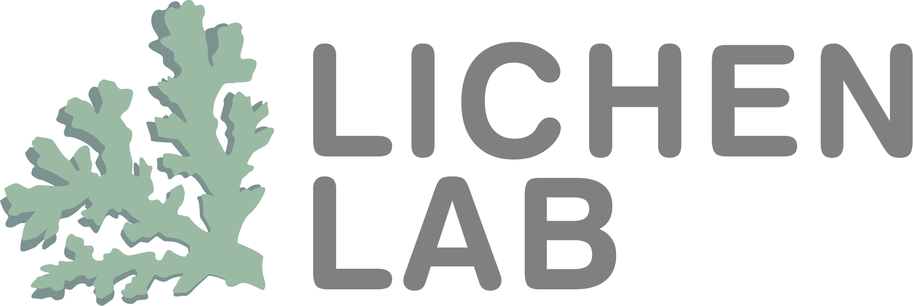 Lichen Logo - Christine Clark. Design & Web