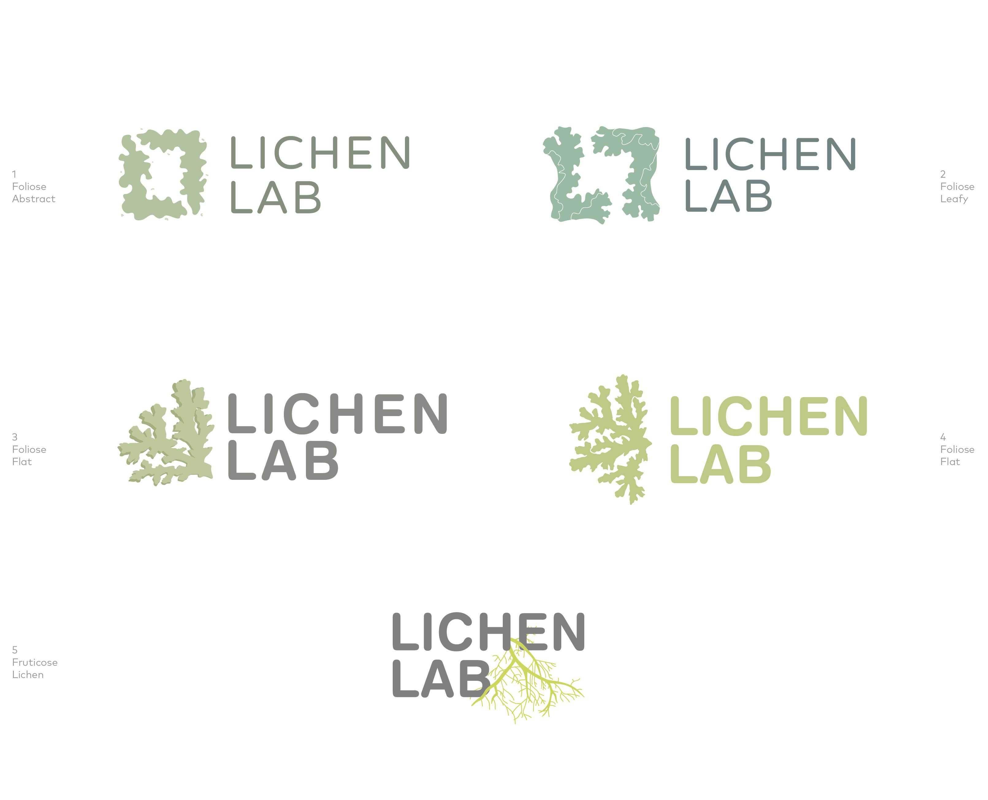 Lichen Logo - Christine Clark | Design & Web