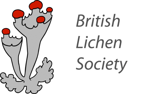 Lichen Logo - Fungi and Lichens of Great Britain and Ireland