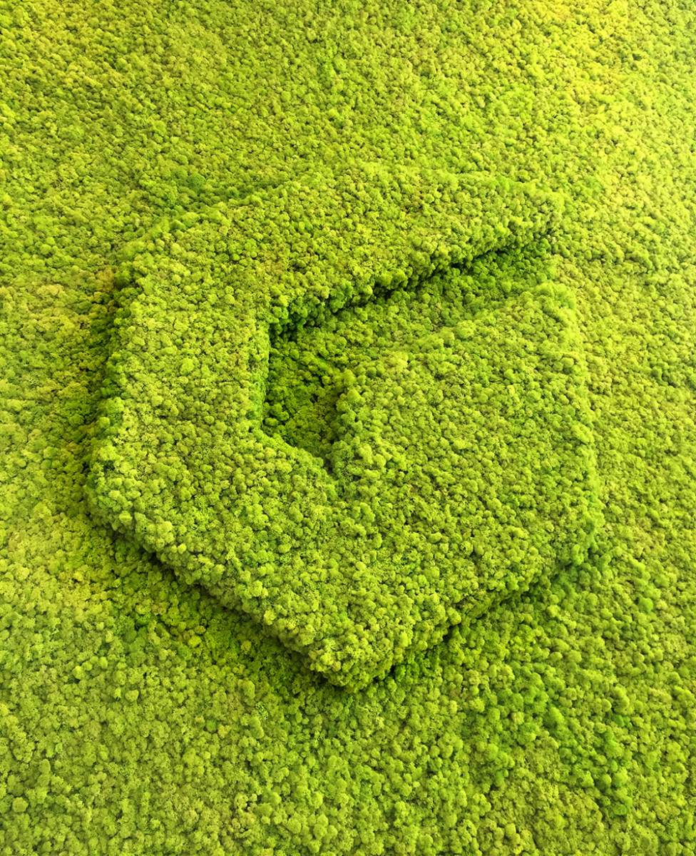Lichen Logo - Lichen 3d Logo - Green Mood - Natural Acoustic Solutions