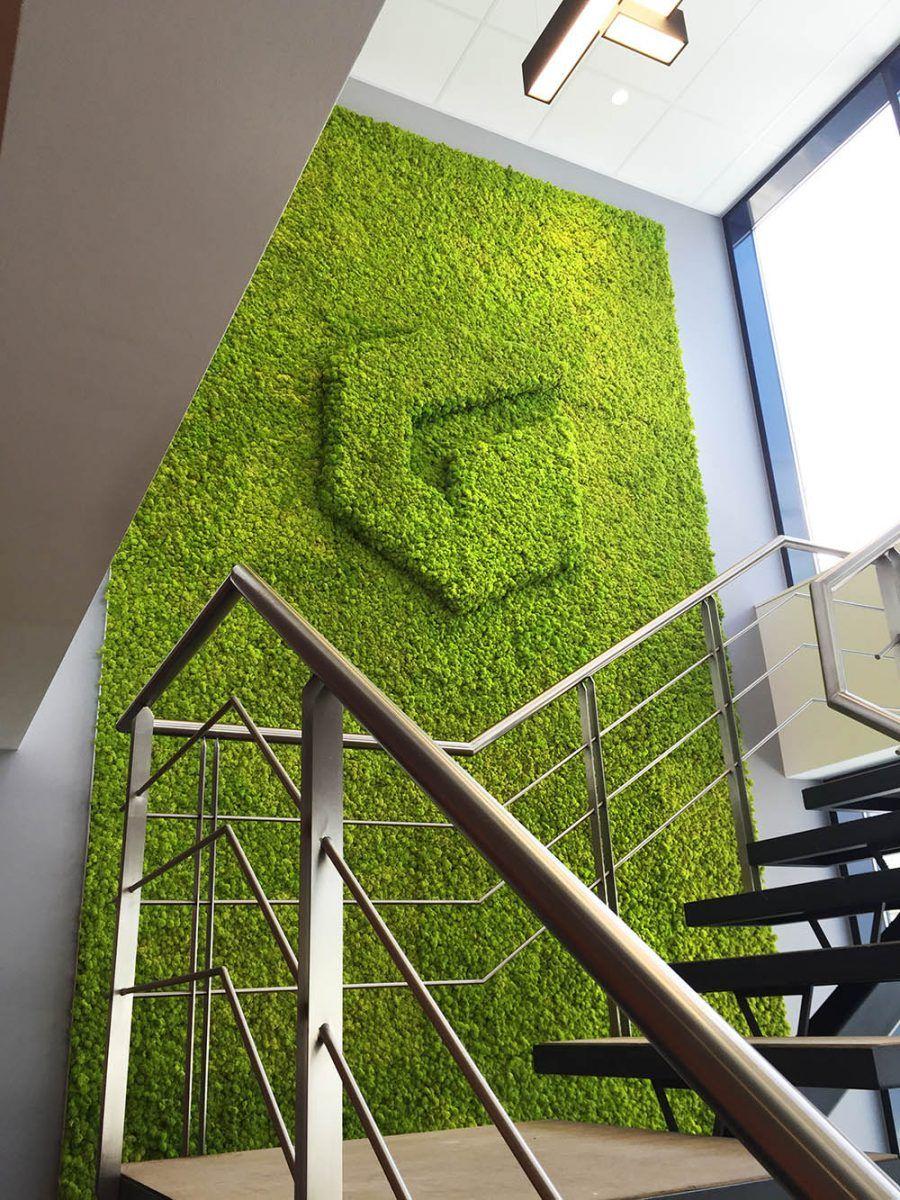 Lichen Logo - Lichen 3d Logo - Green Mood - Natural Acoustic Solutions