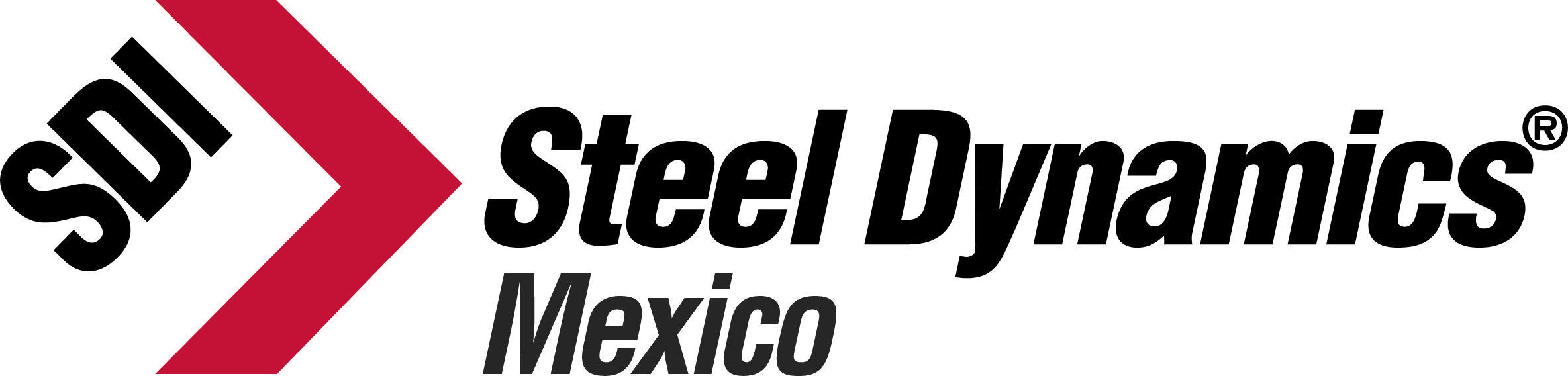 Dynics Logo - Steel Dynamics, Inc. - Mexico