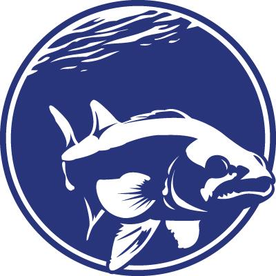 Walleye Logo - Walleye Logo