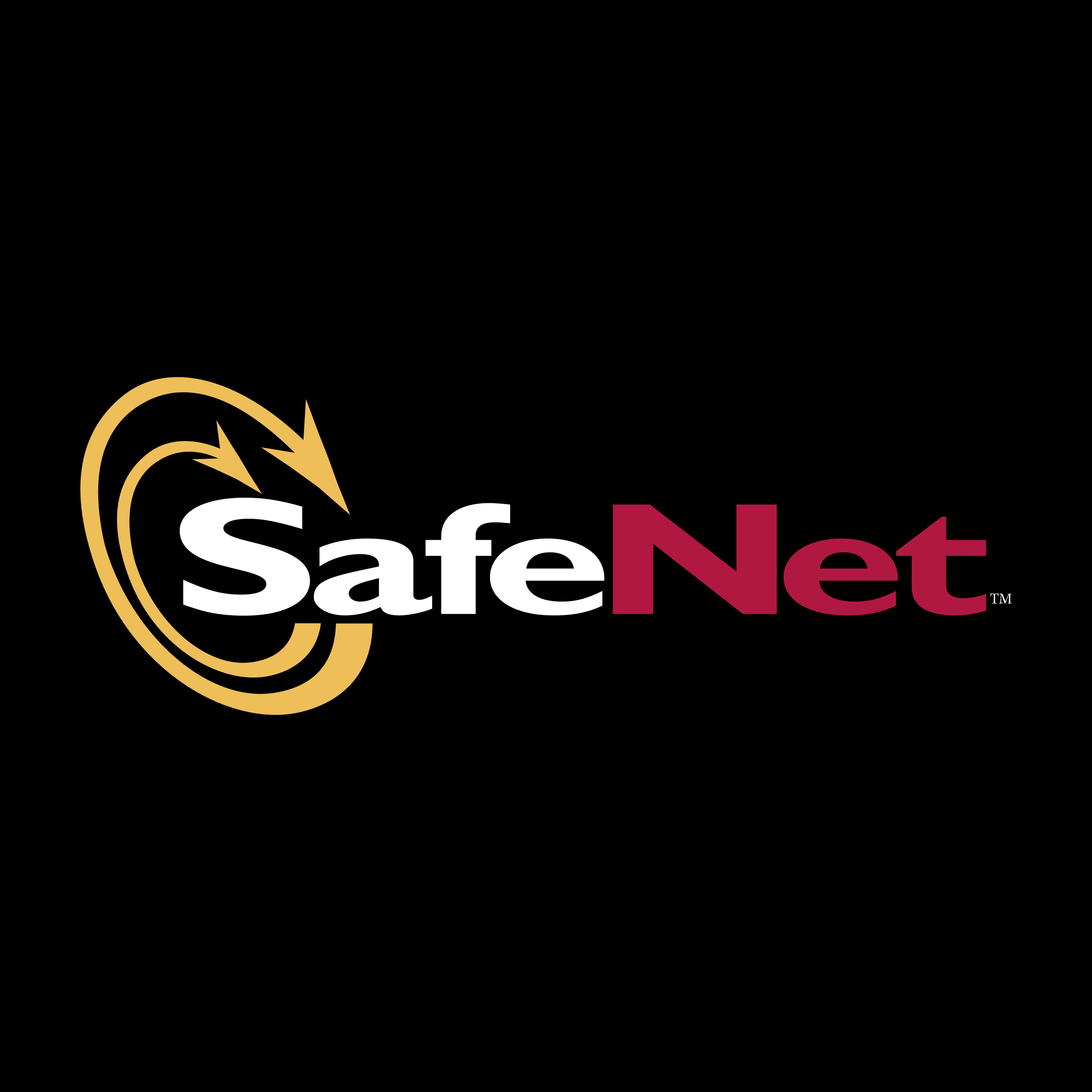 SafeNet Logo - SafeNet Logo PNG Transparent & SVG Vector - Freebie Supply