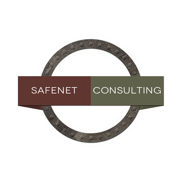 SafeNet Logo - SafeNet Consulting - Interim Logo Design on Behance