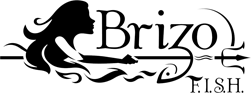 Brizo Logo - Brizo