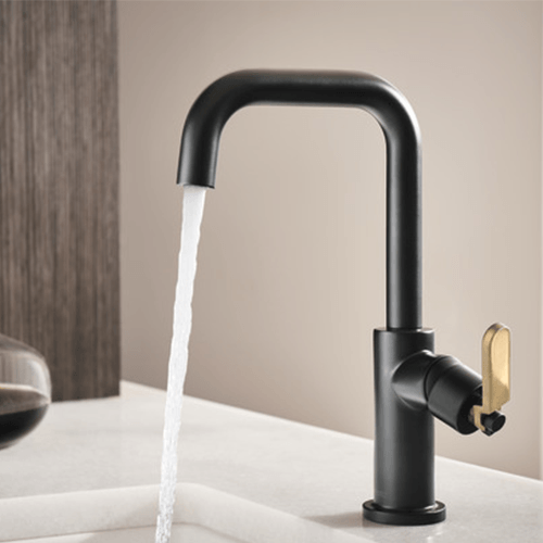 Brizo Logo - Brizo Faucets | Luxury Kitchen & Bathroom Brizo Fixutres | eFaucets.com