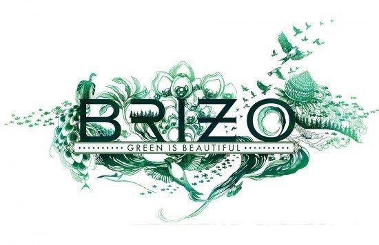 Brizo Logo - It's Christmas: Want a new Brizo faucet for free?. Life of an Architect