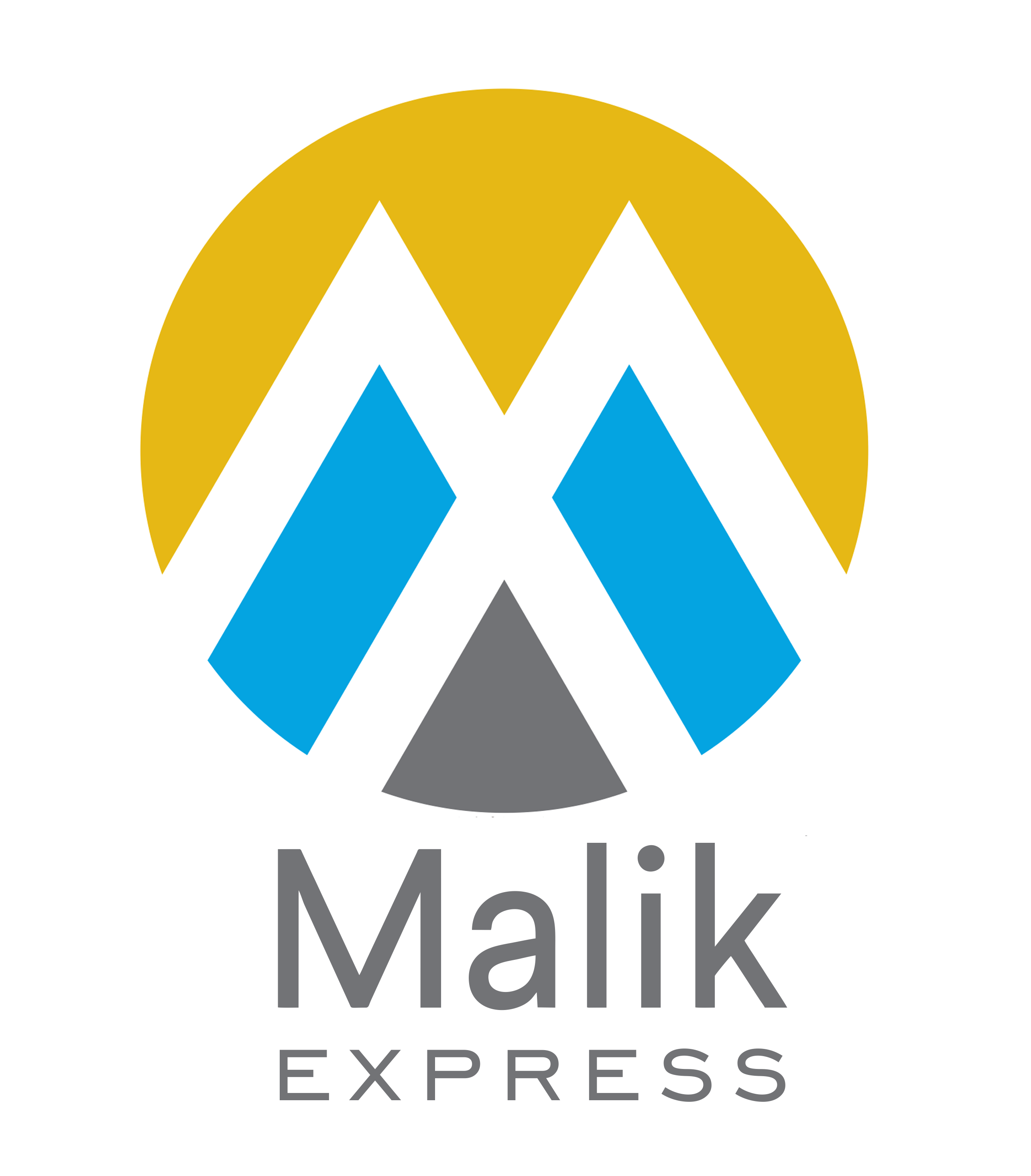 Malik Logo - Login