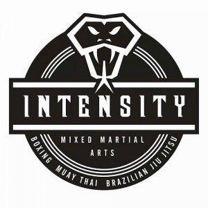 Intensity Logo - Intensity Mma Logo